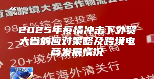 2025年疫情冲击下外贸大省的应对策略及跨境电商发展情况