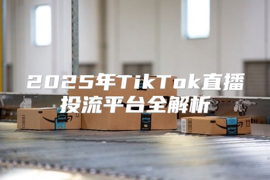 2025年TikTok直播投流平台全解析