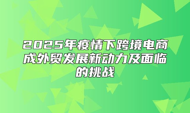 2025年疫情下跨境电商成外贸发展新动力及面临的挑战