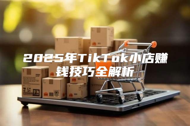 2025年TikTok小店赚钱技巧全解析