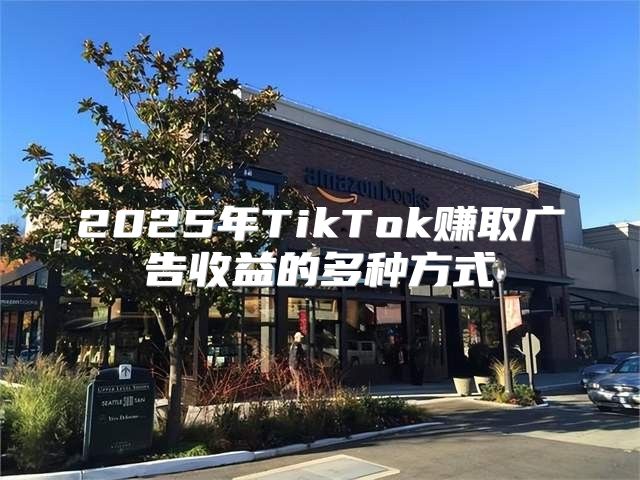 2025年TikTok赚取广告收益的多种方式