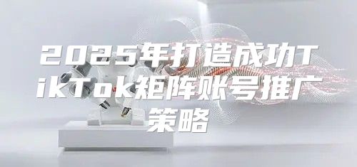 2025年打造成功TikTok矩阵账号推广策略