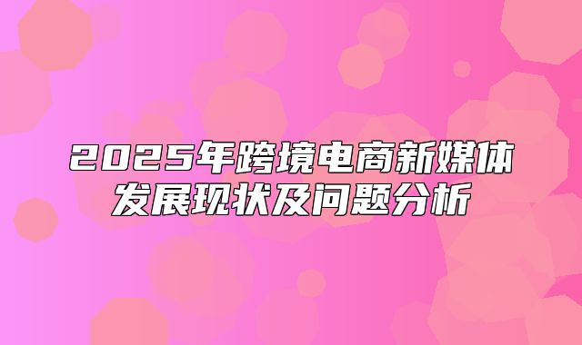 2025年跨境电商新媒体发展现状及问题分析