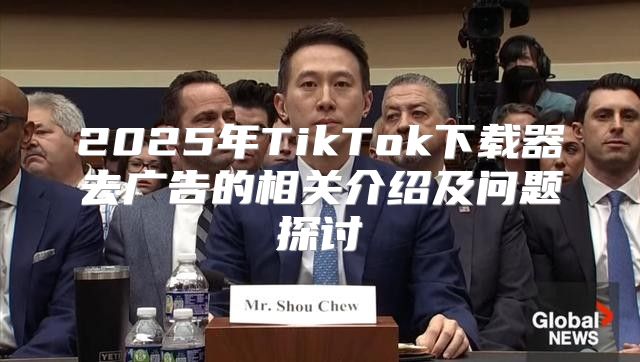 2025年TikTok下载器去广告的相关介绍及问题探讨