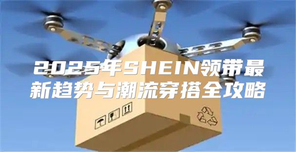 2025年SHEIN领带最新趋势与潮流穿搭全攻略