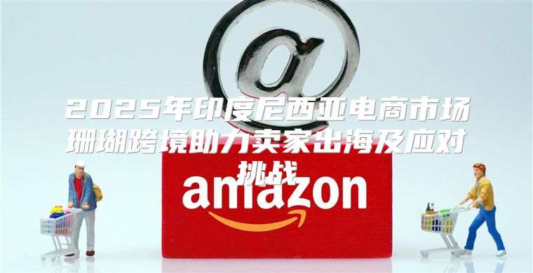 2025年印度尼西亚电商市场珊瑚跨境助力卖家出海及应对挑战