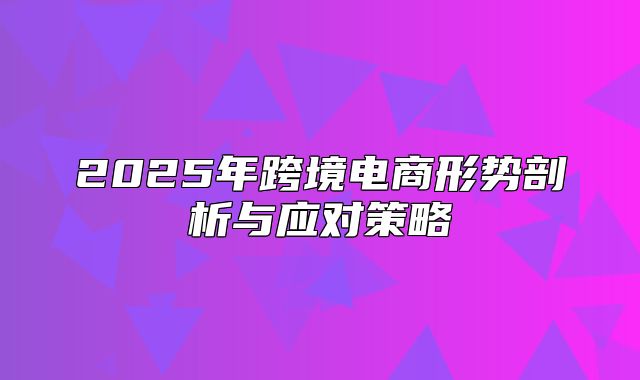 2025年跨境电商形势剖析与应对策略