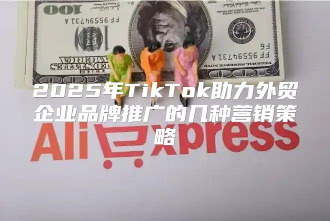 2025年TikTok助力外贸企业品牌推广的几种营销策略