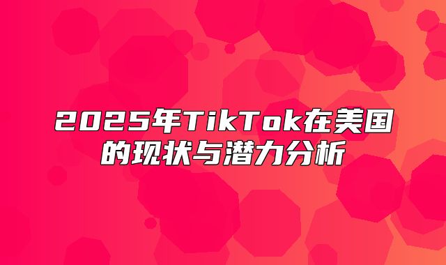 2025年TikTok在美国的现状与潜力分析