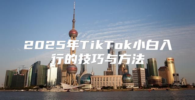 2025年TikTok小白入行的技巧与方法