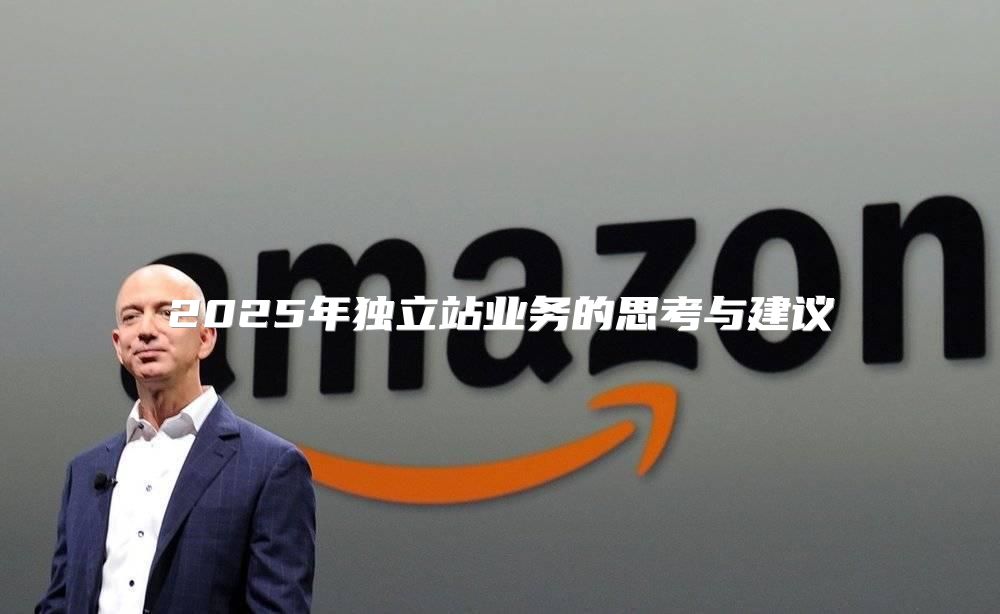 2025年独立站业务的思考与建议