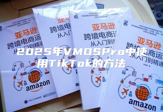 2025年VMOSPro中使用TikTok的方法