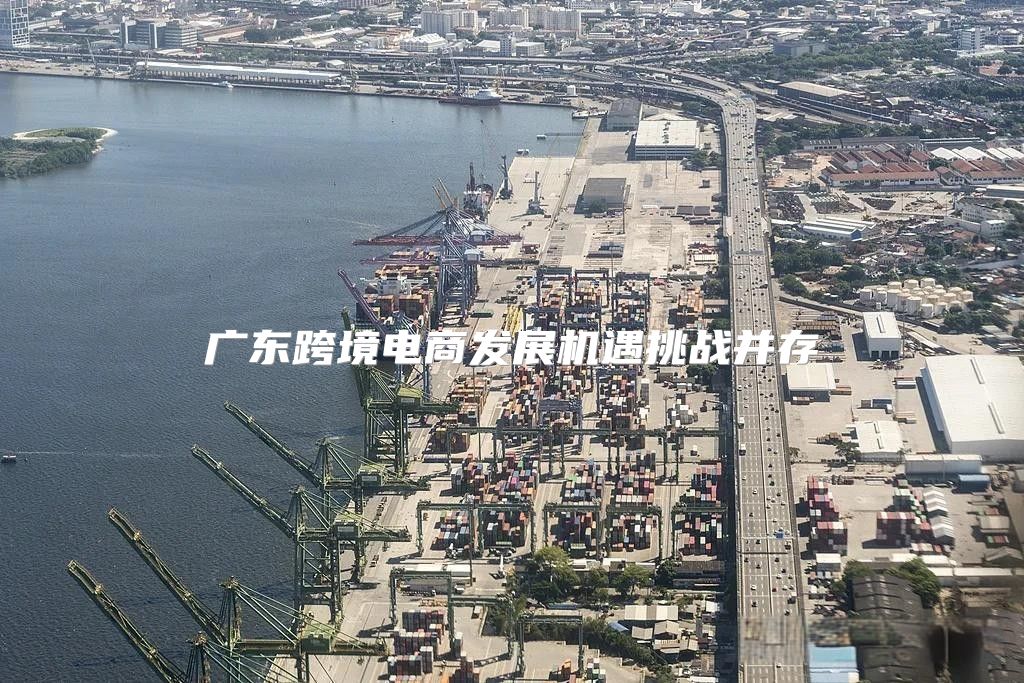 广东跨境电商发展机遇挑战并存