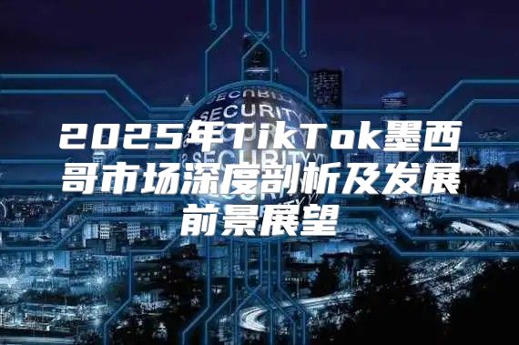 2025年TikTok墨西哥市场深度剖析及发展前景展望