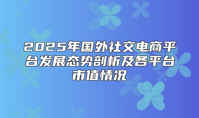 2025年国外社交电商平台发展态势剖析及各平台市值情况