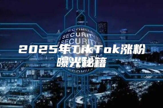 2025年TikTok涨粉曝光秘籍