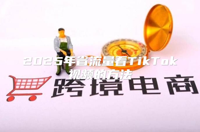 2025年省流量看TikTok视频的方法