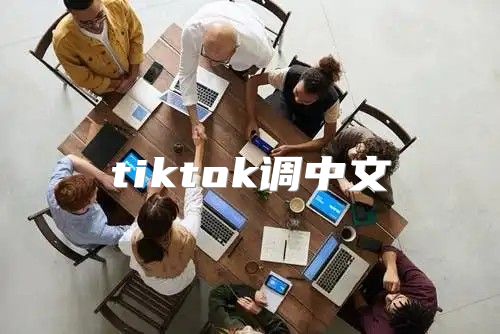 tiktok调中文