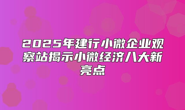 2025年建行小微企业观察站揭示小微经济八大新亮点
