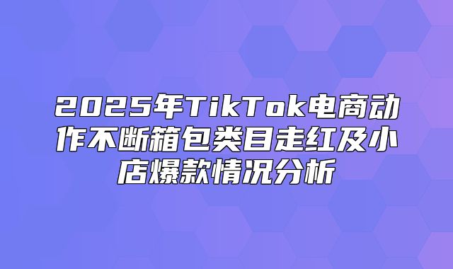 2025年TikTok电商动作不断箱包类目走红及小店爆款情况分析