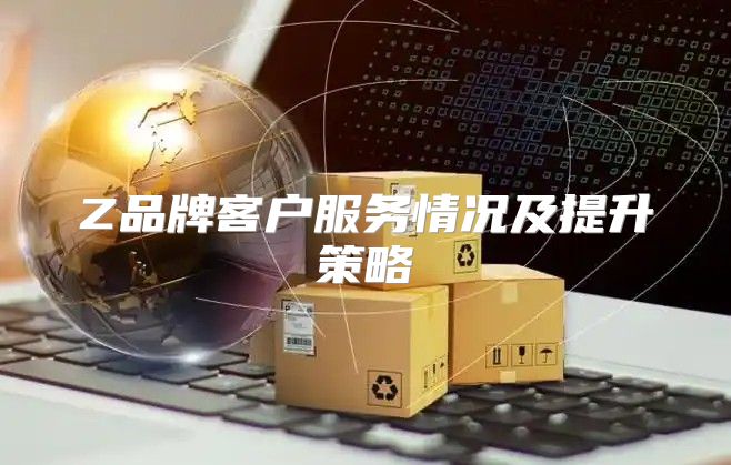 Z品牌客户服务情况及提升策略
