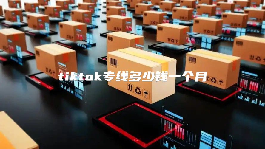 tiktok专线多少钱一个月