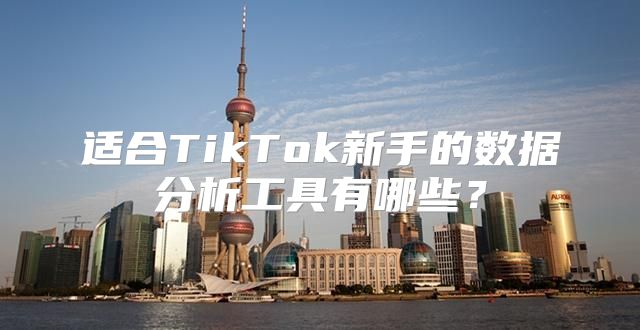 适合TikTok新手的数据分析工具有哪些？
