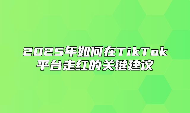 2025年如何在TikTok平台走红的关键建议