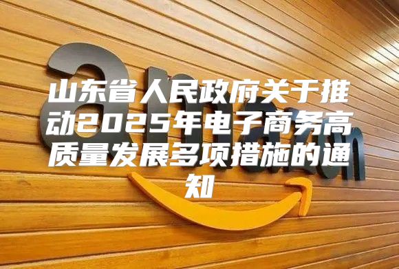 山东省人民政府关于推动2025年电子商务高质量发展多项措施的通知