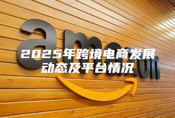 2025年跨境电商发展动态及平台情况