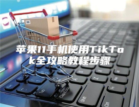 苹果11手机使用TikTok全攻略教程步骤