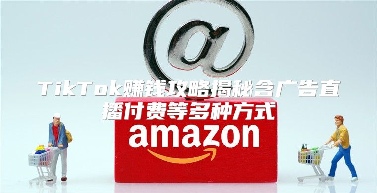 TikTok赚钱攻略揭秘含广告直播付费等多种方式