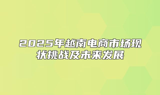 2025年越南电商市场现状挑战及未来发展