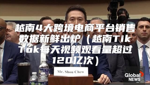 越南4大跨境电商平台销售数据新鲜出炉越南TikTok每天视频观看量超过120亿次