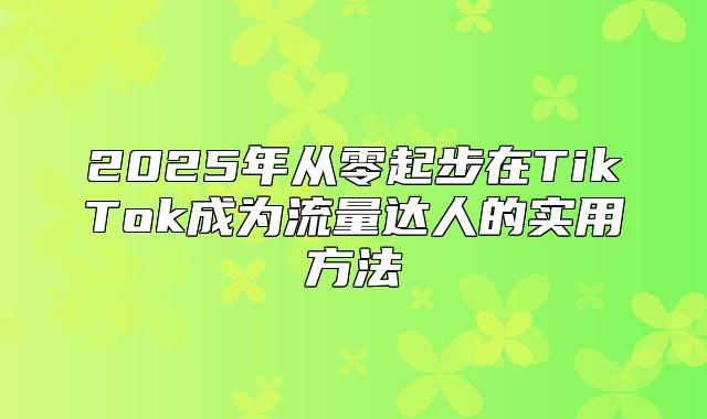 2025年从零起步在TikTok成为流量达人的实用方法