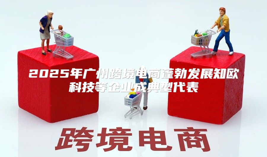 2025年广州跨境电商蓬勃发展知欧科技等企业成典型代表