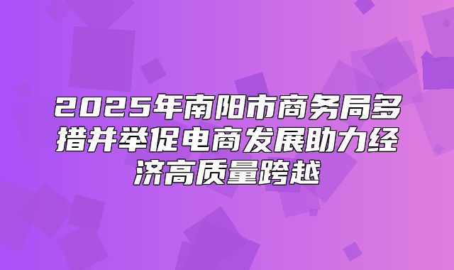2025年南阳市商务局多措并举促电商发展助力经济高质量跨越