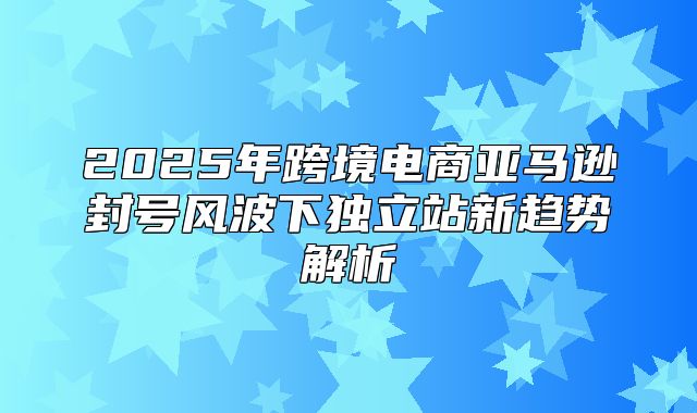 2025年跨境电商亚马逊封号风波下独立站新趋势解析