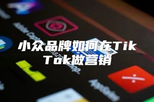 小众品牌如何在TikTok做营销