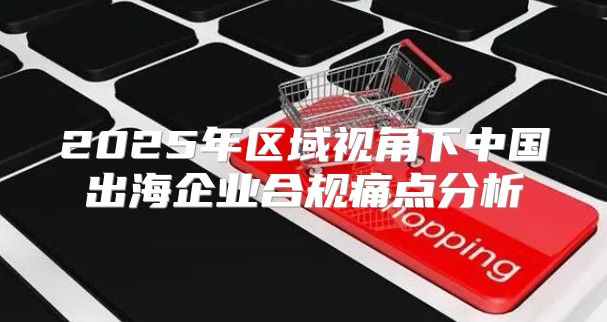 2025年区域视角下中国出海企业合规痛点分析