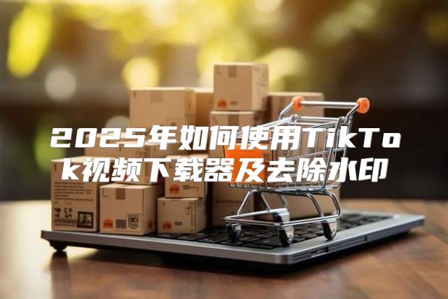 2025年如何使用TikTok视频下载器及去除水印