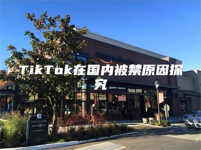 TikTok在国内被禁原因探究