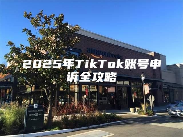 2025年TikTok账号申诉全攻略