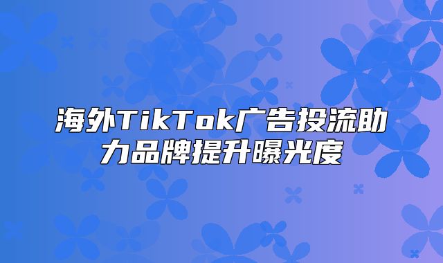 海外TikTok广告投流助力品牌提升曝光度