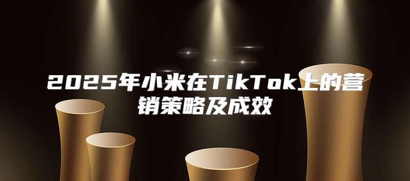 2025年小米在TikTok上的营销策略及成效