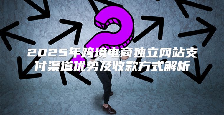 2025年跨境电商独立网站支付渠道优势及收款方式解析