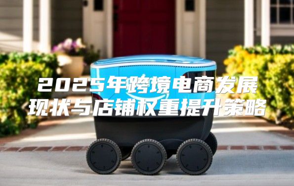 2025年跨境电商发展现状与店铺权重提升策略