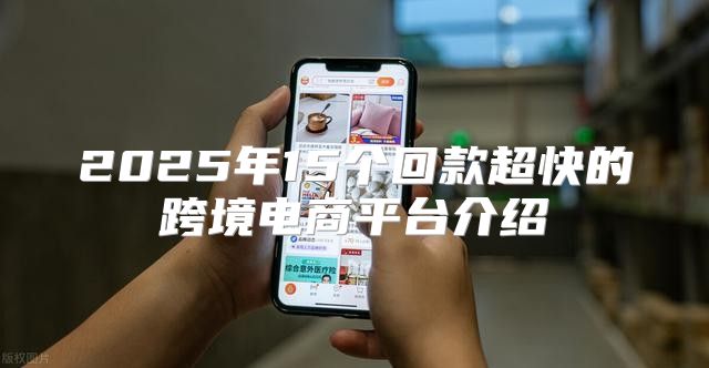2025年15个回款超快的跨境电商平台介绍