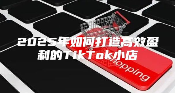 2025年如何打造高效盈利的TikTok小店