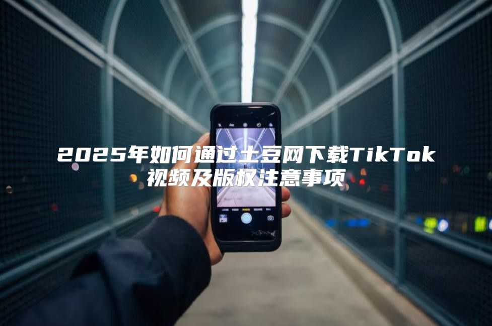 2025年如何通过土豆网下载TikTok视频及版权注意事项